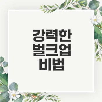 벌크업 효율 극대화하기: 근육량 증가를 위한 필수 가이드