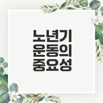 시니어를 위한 안전한 운동 프로그램 가이드