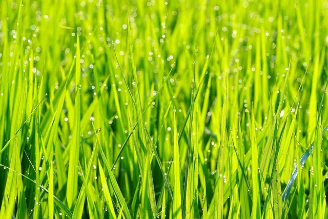 전립선 건강을 위한 운동 추천 5가지