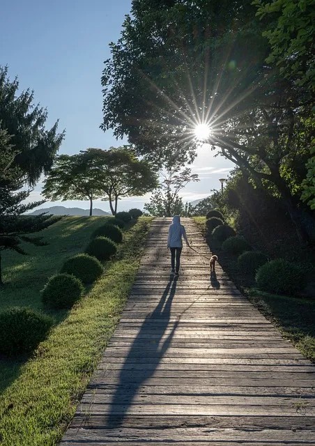 시니어 건강을 위한 운동 프로그램 안내서