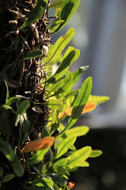 60대 이상 시니어를 위한 필라테스의 모든 것