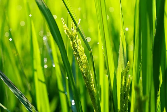 갑상선암 조기 증상 및 자가 진단 주의하기