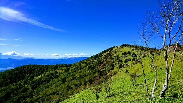 여성 갱년기 영양제 추천과 효능으로 건강하게 지내기