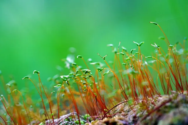 걷기 운동의 건강 이점과 실천 방법 완벽 가이드