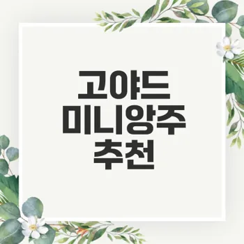 고야드 미니앙주 가방 최고의 선택과 가품 구별법