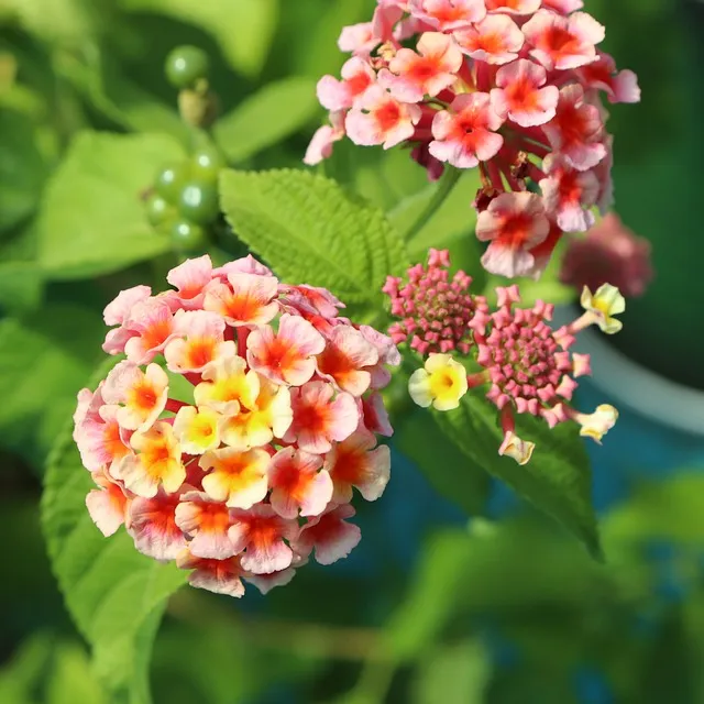 초보자를 위한 효과적인 근력 운동법 완벽 가이드