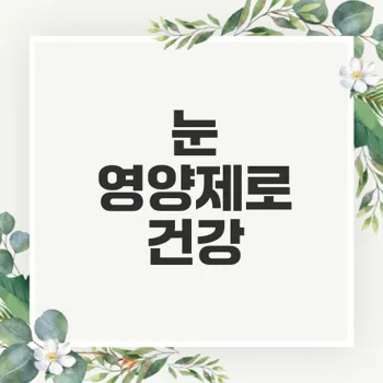 눈 영양제 추천으로 눈 건강 지키기 유용한 방법