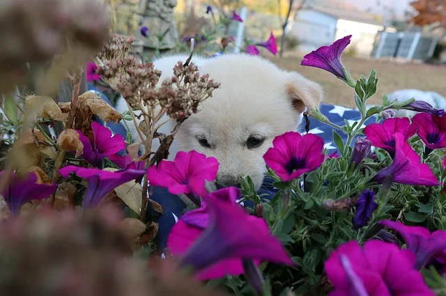 다이어트를 위한 효과적인 운동과 팁 총정리