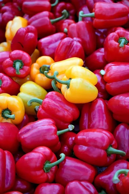 최고의 당뇨 식단 관리법과 음식 선택 가이드