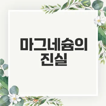 마그네슘 효능과 부족 증상 완벽 가이드