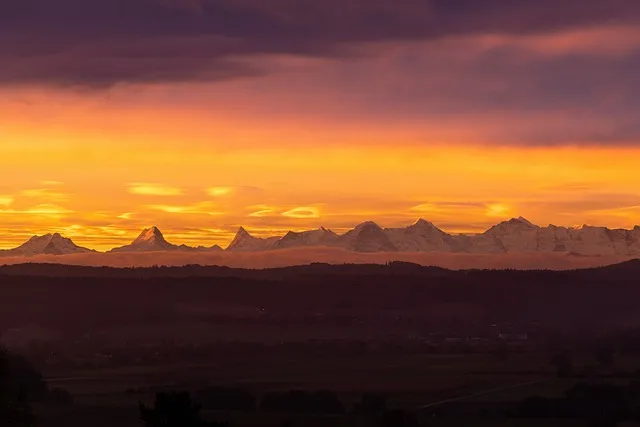 목 디스크 증상과 예방 관리 완벽 가이드