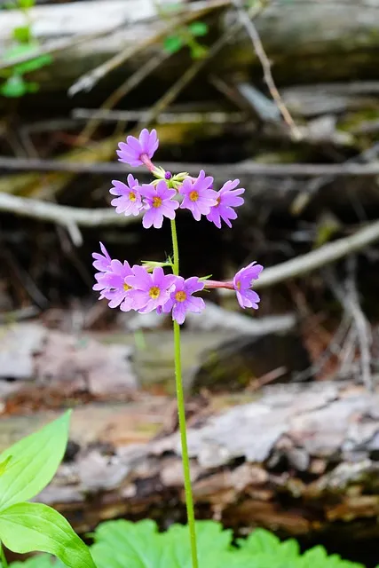 발바닥 통증 원인과 치료법 완벽 가이드
