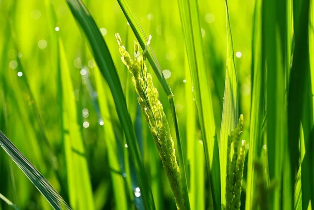 발바닥 통증 원인과 치료법 완벽 가이드