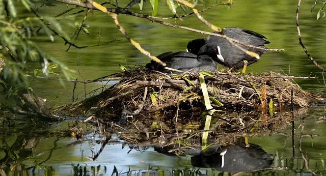 발톱 무좀 없애는 효과적인 방법과 예방 습관