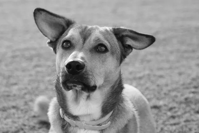 방광염 원인과 예방 방법 완벽 가이드