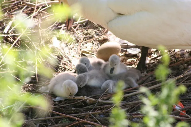 방광염 원인과 예방 방법 완벽 가이드