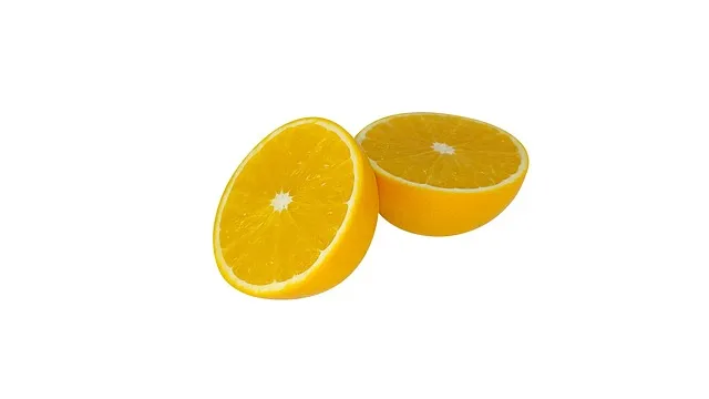 다양한 셀렉스 프로틴, 락토핏 종류와 효능 알아보기