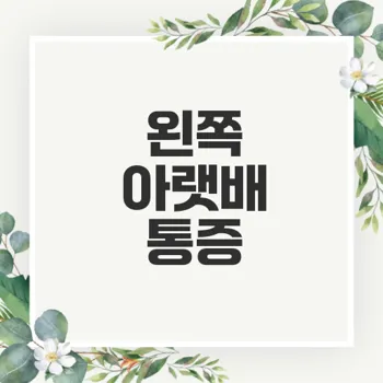 왼쪽 아랫배 통증 원인과 대처 방법 완벽 가이드