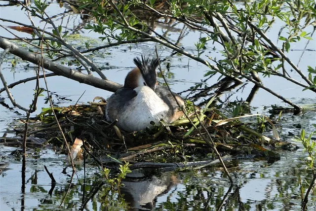 잇몸 염증 증상과 예방법으로 건강한 치아 지키기