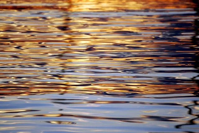 장염 빠른 회복을 위한 필수 정보 총정리