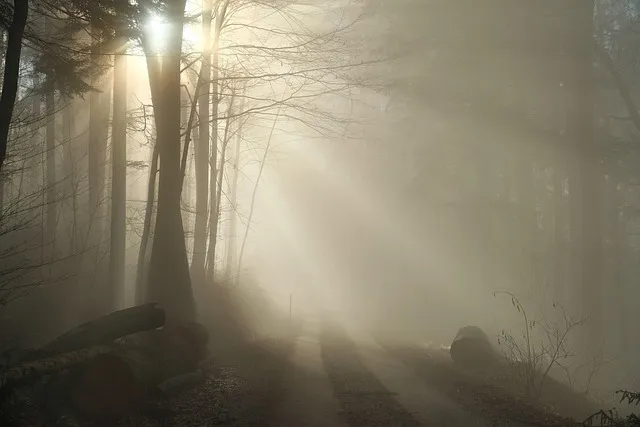 치아 미백 민간요법으로 변색 완화하기