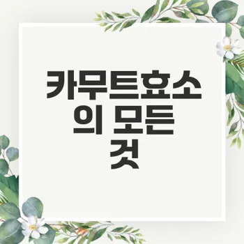 카무트효소 효능과 먹는법 및 부작용 완벽 안내