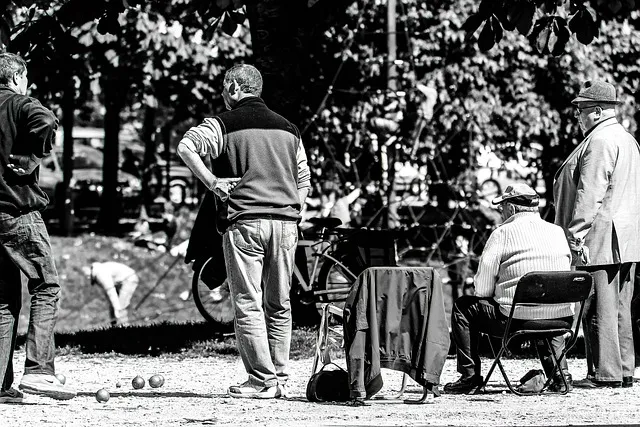 혈압 혈당 혈행 콜레스테롤 감소 면역 강화 건강식품