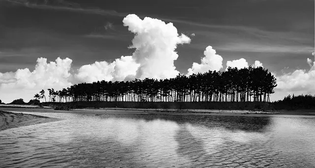 혈압 혈당 혈행 콜레스테롤 감소 면역 강화 건강식품