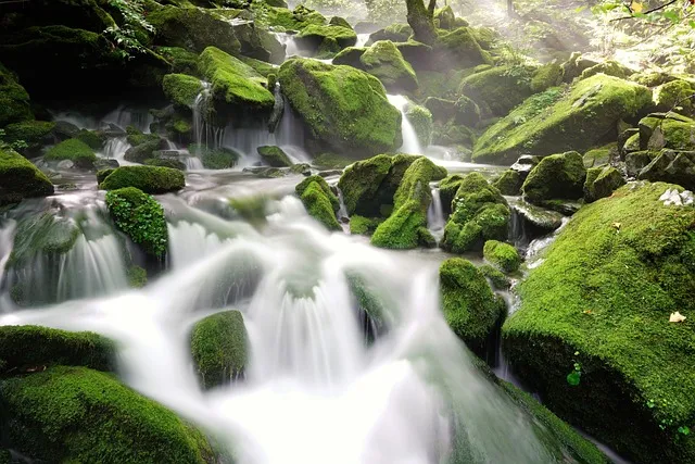 파상풍 초기 증상과 신생아 시 주의할 점