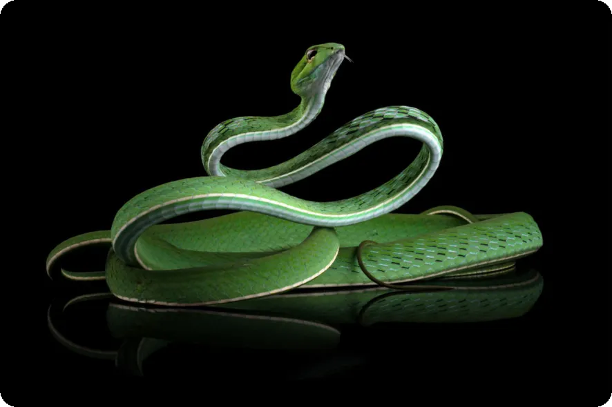 2025 프로야구 규정 변화와 일정은