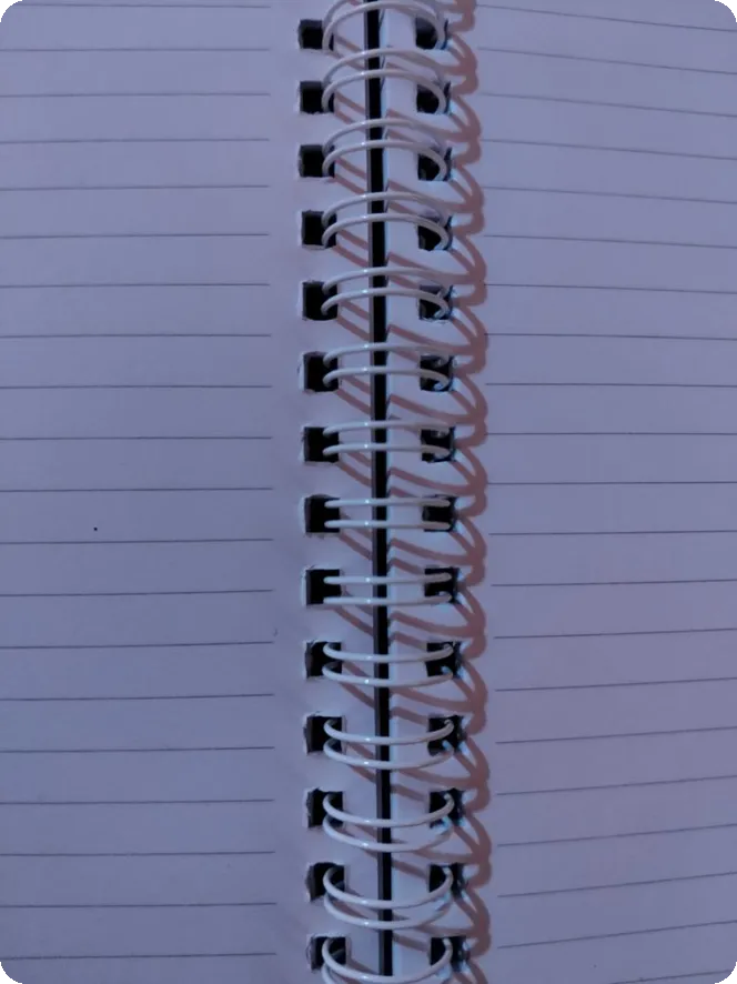 2025 프로야구 시범경기 일정과 스프링 캠프 장소는?