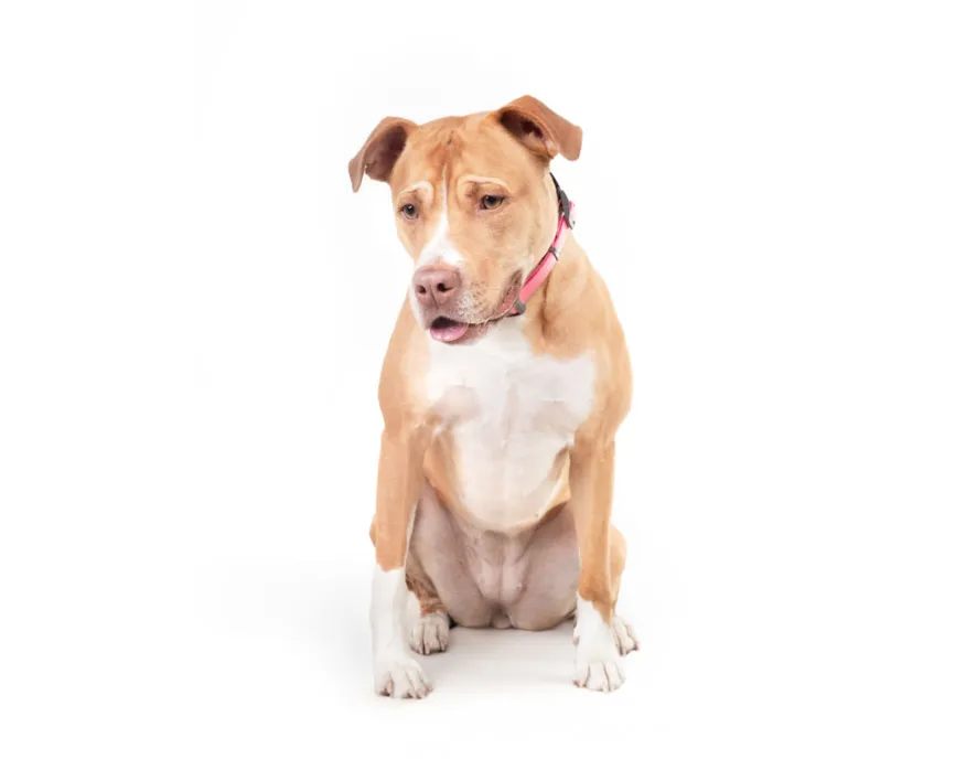 50대 근력 운동 루틴 하루 30분 어떻게 할까