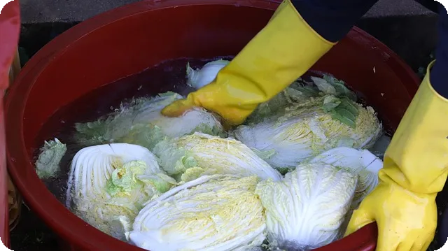 계단 오르기 운동 효과와 주의사항은?