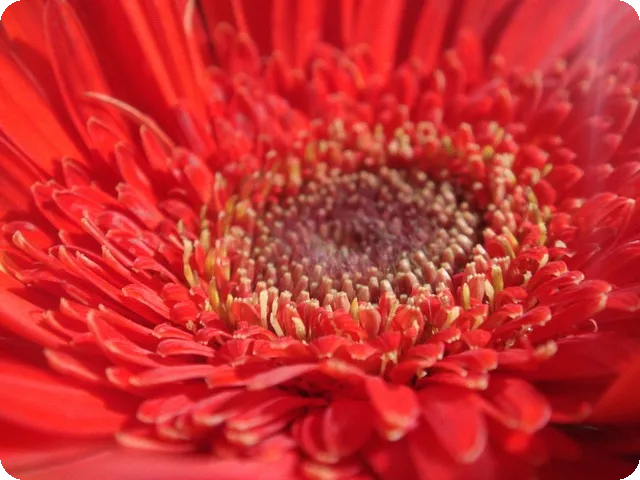 골반 교정 스트레칭으로 허리 통증 해결 노하우는