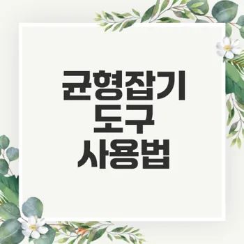 균형잡기 도구로 나도 코어 강화 할 수 있을까