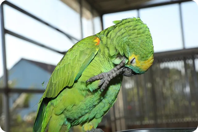 여성을 위한 효과적인 근력운동 루틴은?