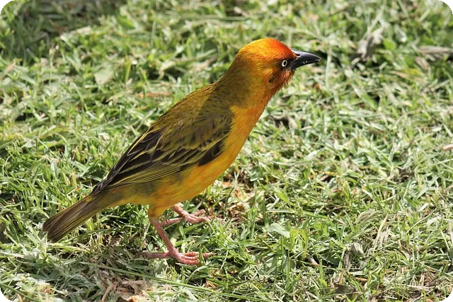 고령자를 위한 근육 유지 운동의 필요성