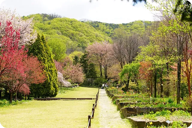 요가의 역사와 다양한 종류 탐구하기