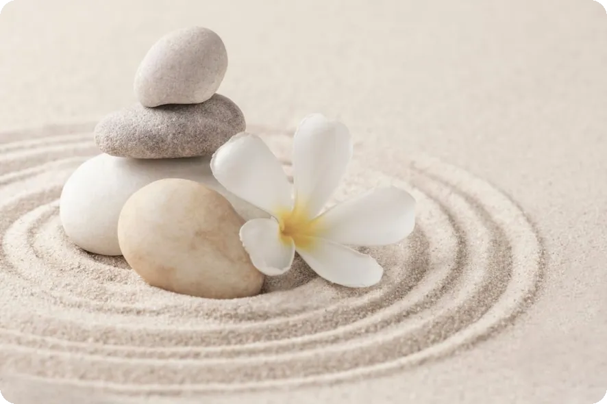 요가의 세계 어떻게 접근할까