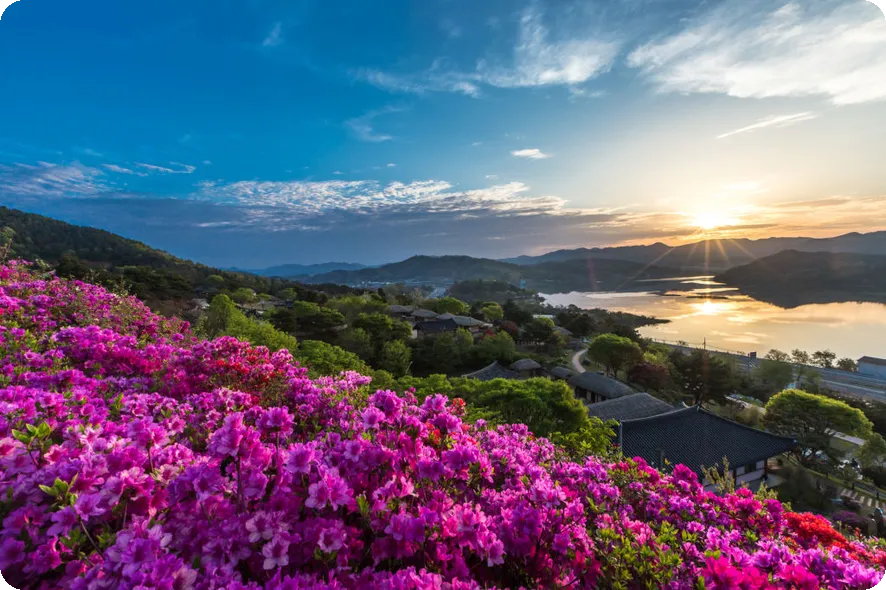 다라요가스튜디오 특징과 혜택은 무엇일까
