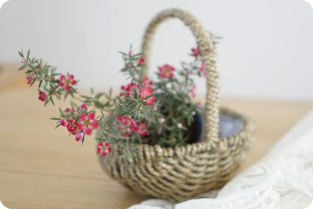 노인 근력 운동으로 건강한 노후를 준비하라