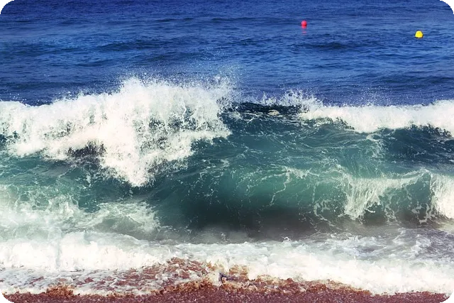 노인을 위한 근력 운동의 모든 것