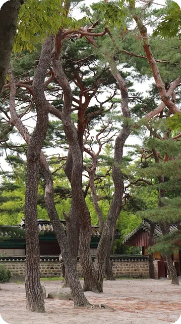 스트레스 해소 요가로 마음의 치유를 경험하세요