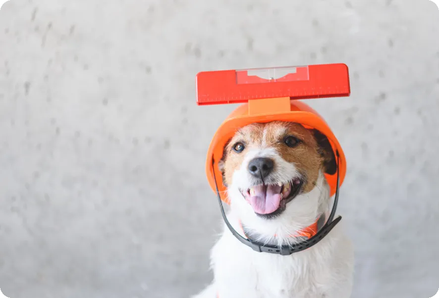 전신 운동 프로그램으로 체력 증진할까