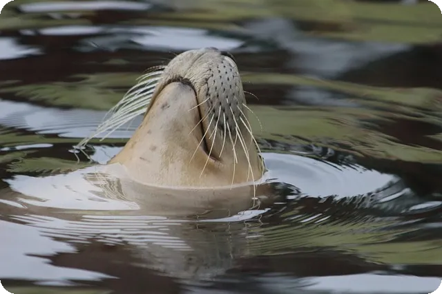 홈트레이닝의 비밀 저항 밴드와 폼롤러 활용법