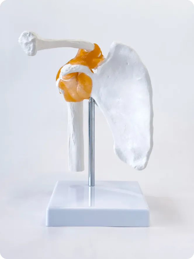 남자가 필라테스 해야 하는 이유는 무엇일까