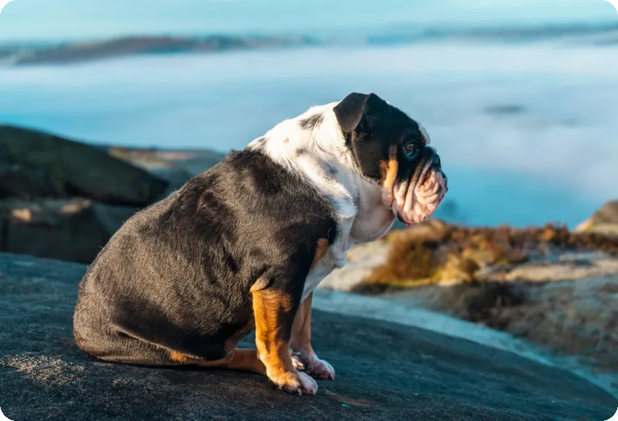남자가 필라테스 해야 하는 이유는 무엇일까