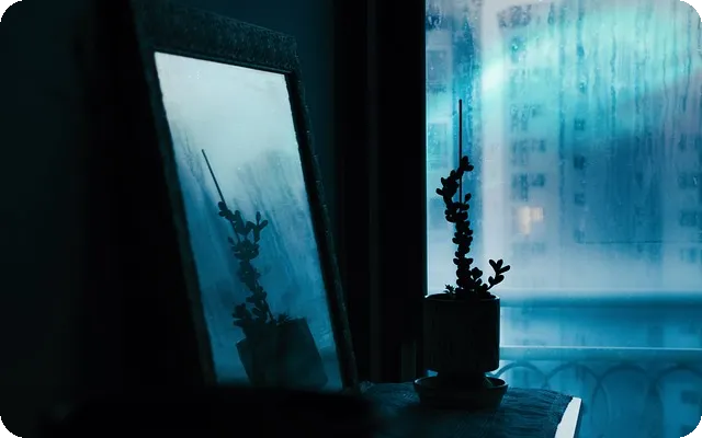 하루 30분 걷기로 건강한 삶을 꿈꾸세요