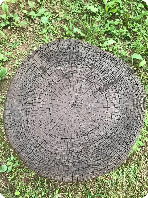 골반 넓어지는 법과 효과적인 팁은 무엇인가