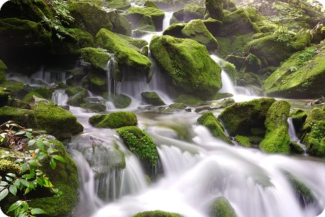 무릎 통증 예방을 위한 5가지 운동 방법은